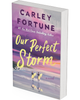 Our Perfect Storm
